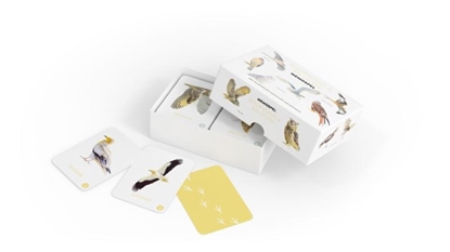Afbeeldingen van Roofvogels en Uilen memospel