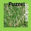 Afbeelding van Puzzelstukjes