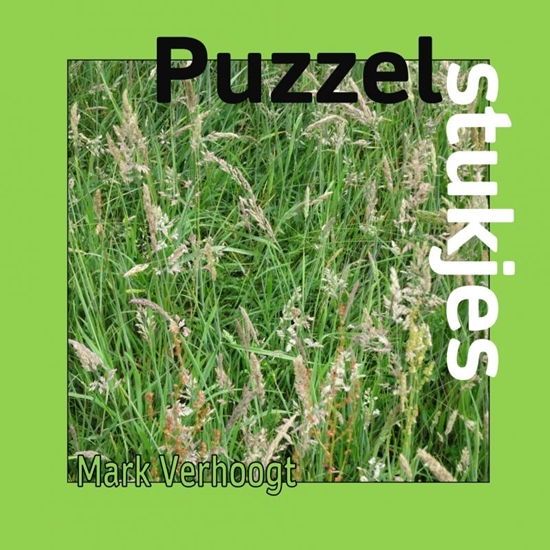 Afbeelding van Puzzelstukjes