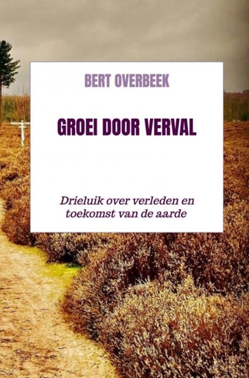Afbeelding van Groei door verval