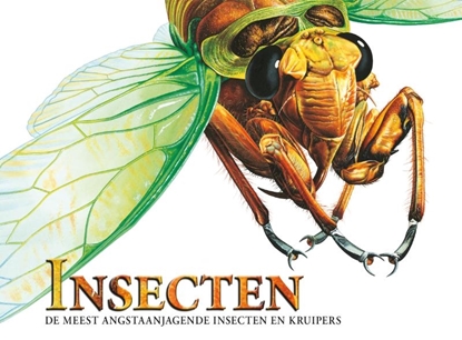 Afbeeldingen van Insecten - Meest angstaanjagende