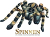 Afbeelding van Spinnen en andere angstaanjagende beestjes
