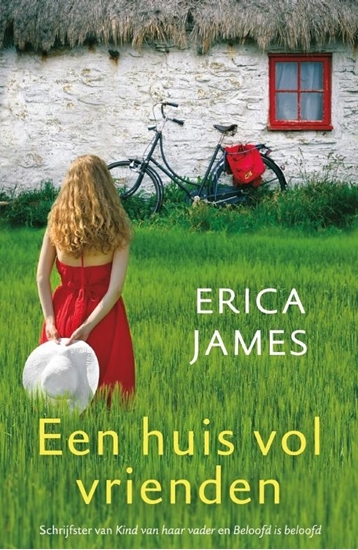 Afbeelding van Een huis vol vrienden