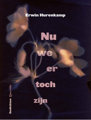Afbeeldingen van Nu we er toch zijn