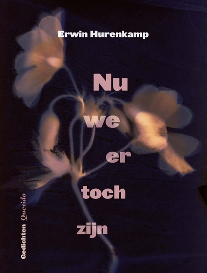 Afbeelding van Nu we er toch zijn