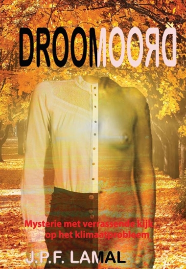 Afbeelding van Droomoord