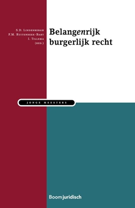 Afbeeldingen van Jonge meesters Belangenrijk burgerlijk recht