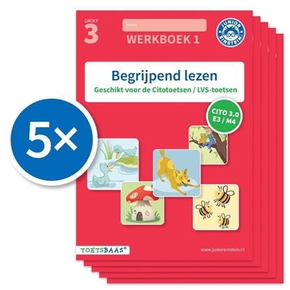 Afbeeldingen van Toetsbaas Begrijpend lezen werkboek 1 (Set van 5)