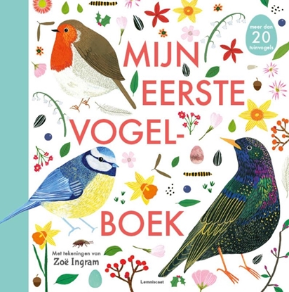 Afbeeldingen van Mijn eerste vogelboek