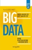 Afbeelding van Succes met Big Data