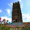 Afbeelding van Avalon, Roses of England
