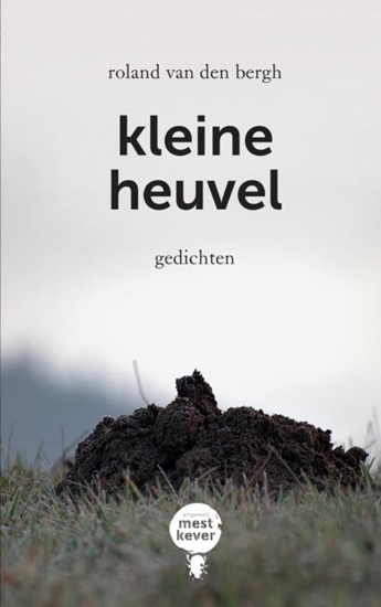 Afbeelding van Kleine heuvel