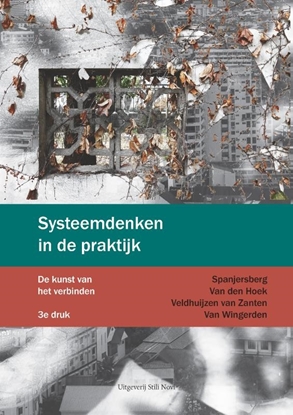 Afbeeldingen van Systeemdenken in de praktijk