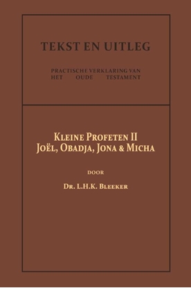 Afbeeldingen van Tekst en Uitleg van het Oude Testament De Kleine Profeten II