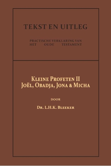 Afbeelding van Tekst en Uitleg van het Oude Testament De Kleine Profeten II