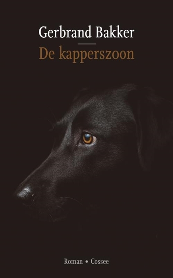 Afbeelding van De kapperszoon