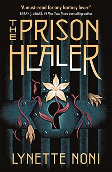 Afbeelding van The Prison Healer The Prison Healer