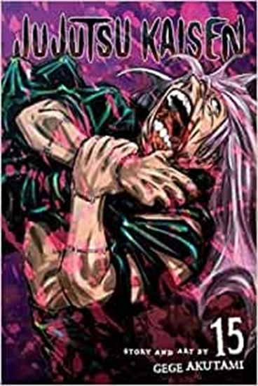 Afbeelding van Jujutsu Kaisen Jujutsu Kaisen, Vol. 15