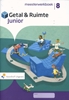 Afbeelding van Getal & Ruimte Junior groep 8 Meesterwerkboek
