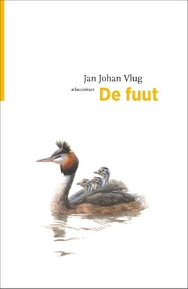 Afbeeldingen van De vogelserie De fuut