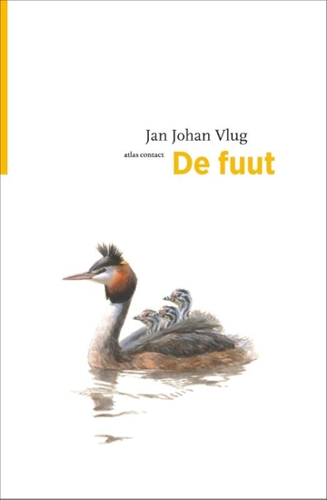 Afbeelding van De vogelserie De fuut