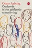 Afbeelding van Onderwijs in een gekleurde samenleving