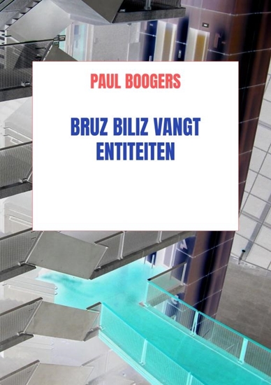 Afbeelding van Bruz Biliz vangt entiteiten