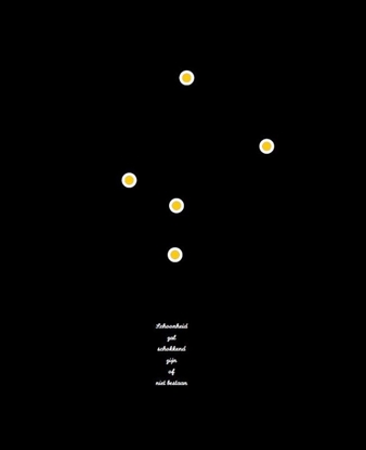 Afbeeldingen van A Dream Collection