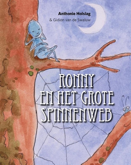 Afbeelding van Ronny en het grote spinnenweb