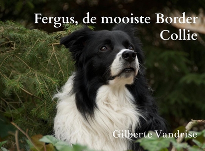 Afbeeldingen van Fergus, de mooiste Border Collie