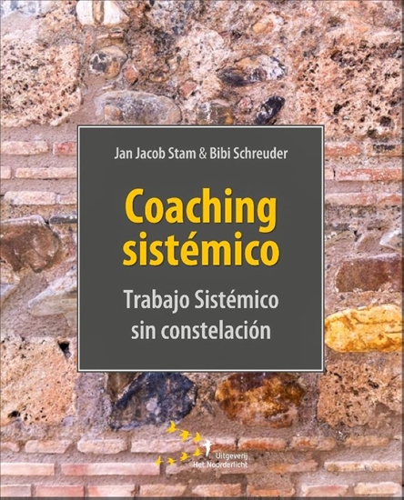 Afbeelding van Coaching sistémico