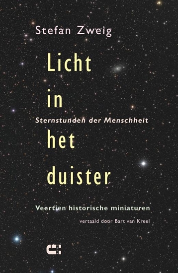Afbeelding van Licht in het duister