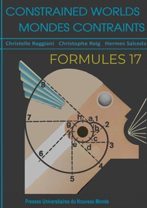 Afbeeldingen van Formules 17