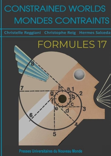Afbeelding van Formules 17