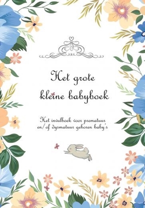 Afbeeldingen van Het grote kleine babyboek