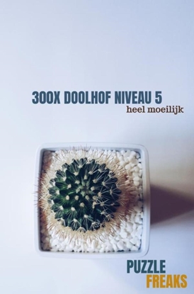 Afbeeldingen van 300X DOOLHOF NIVEAU 5