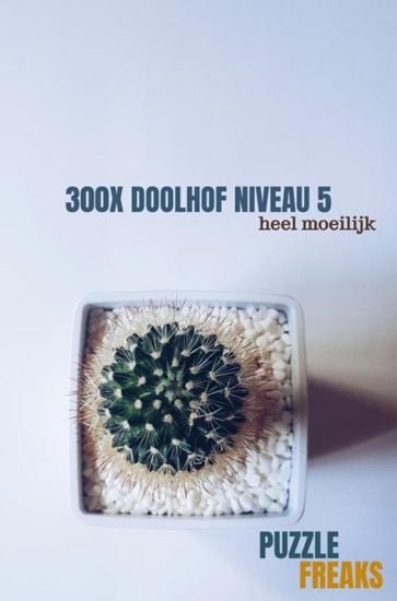 Afbeelding van 300X DOOLHOF NIVEAU 5