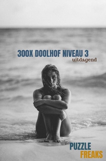 Afbeelding van 300X DOOLHOF NIVEAU 3