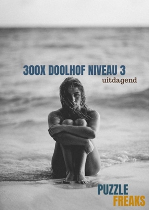 Afbeeldingen van 300X DOOLHOF NIVEAU 3