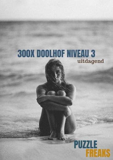 Afbeelding van 300X DOOLHOF NIVEAU 3