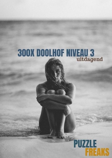 Afbeelding van 300X DOOLHOF NIVEAU 3