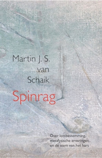 Afbeelding van Spinrag