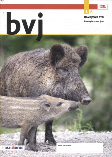 Afbeelding van Biologie voor jou leerjaar 1 havo-vwo-tto Leeropdrachtenboek A