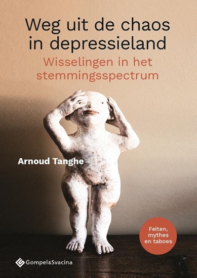 Afbeelding van Weg uit de chaos in depressieland