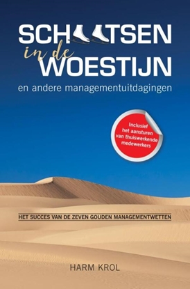 Afbeeldingen van Schaatsen in de woestijn en andere managementuitdagingen