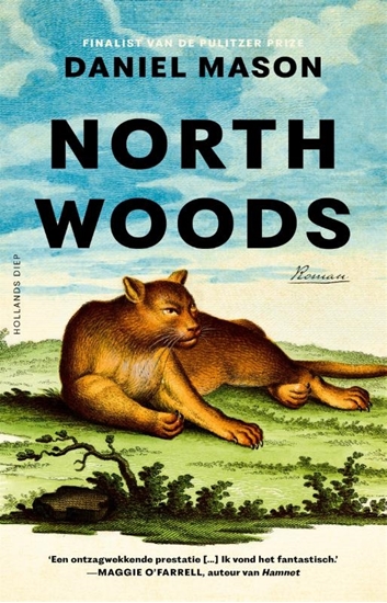 Afbeelding van North Woods