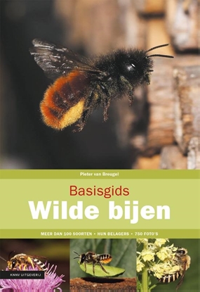 Afbeeldingen van Basisgids Basisgids wilde bijen