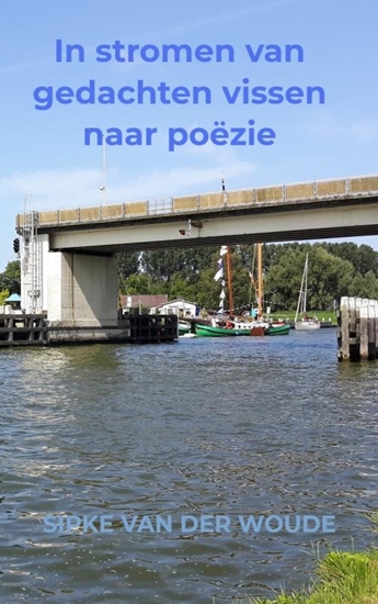 Afbeelding van In stromen van gedachten vissen naar poëzie