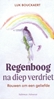 Afbeelding van Regenboog na diep verdriet