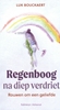 Afbeelding van Regenboog na diep verdriet